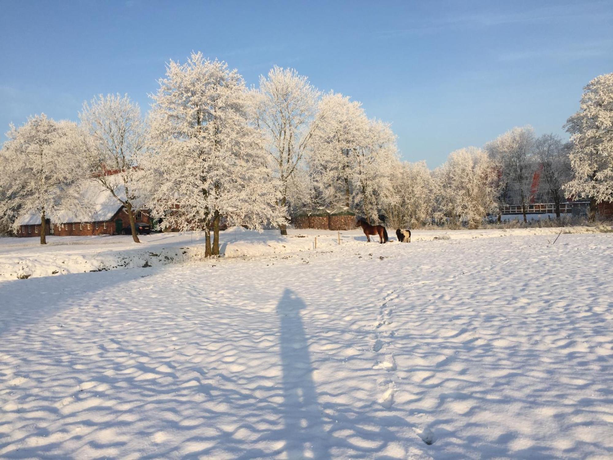 Ferienwohnung Süderfeld Brake  Exterior foto